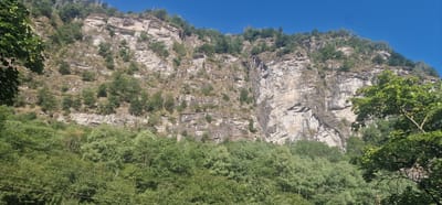 The image shows a steep, rocky mountainside with sparse vegetation, in Lavorgo, Switzerland. The mountain face is composed of layered rock strata, with patches of dry grass and small trees growing in crevices and on ledges. A dense forest of green deciduous trees fills the lower part of the frame, obscuring the base of the mountain. Several thin, parallel wires, likely power lines, are visible running horizontally across the forest canopy. The sky is a clear, bright blue. The scene suggests a natural, rugged landscape with evidence of human infrastructure through the power lines.