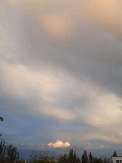 The image depicts a sky with a mix of clouds, with a soft orange-pink hue on the left side and transitioning to a pale blue on the right. Wispy clouds are scattered throughout, with some appearing thicker and more illuminated. In the far right of the image, a building with white siding and dark-framed windows is partially visible, suggesting an urban or suburban setting. Several tall, dark green trees are lined up along the right edge, with some foliage in the foreground obscuring the lower portion of the image. The lighting suggests it is either sunrise or sunset. The scene is peaceful and serene, with the soft colors of the sky creating a calm atmosphere. There is no visible text in the image. The location context of Бактуу-Долоноту, Kyrgyzstan is noted.