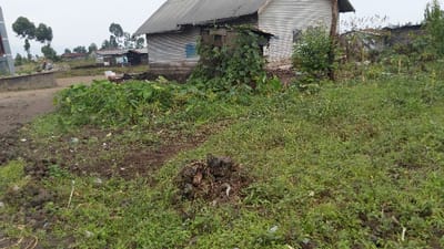 A rural scene shows a simple corrugated metal house with overgrown vegetation around it. A dirt road leads to the house, passing by a concrete structure and some scattered debris. Beyond the house, a glimpse of other dwellings can be seen against a backdrop of distant hills and trees, under an overcast sky. The immediate foreground is filled with unkempt grass and a small pile of dark rocks.
