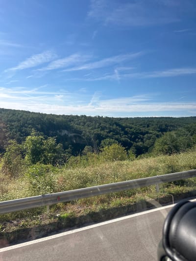 The image depicts a scenic landscape under a bright blue sky with scattered white clouds. The foreground shows a road with a white line marking its edge and a metal guardrail. Beyond the guardrail, a steep, tree-covered hillside stretches out, with various shades of green foliage indicating a dense forest. Some dry grasses and wildflowers are visible on the slope leading up to the trees. The overall impression is of a natural, undeveloped area, likely a rural or mountainous region. The image does not contain any people, specific buildings, or identifiable landmarks that would allow for pinpointing a location within the city of Dimovo, Bulgaria.