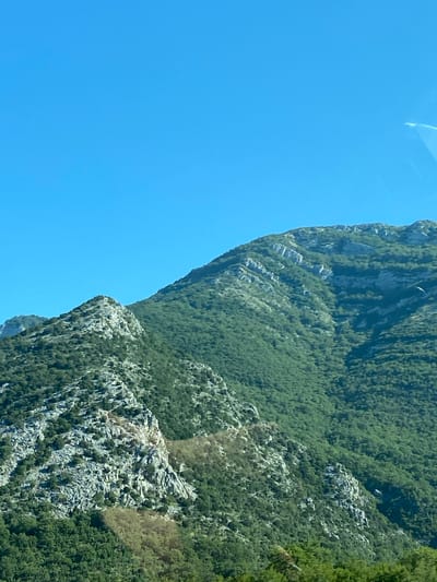 The image depicts a vast mountain range under a clear blue sky. The mountains are densely covered with green trees, with rocky outcrops and sheer cliffs visible in some areas. The terrain appears rugged and steep. The scene is devoid of any people, animals, or man-made structures, suggesting a natural, undeveloped landscape. The lighting indicates it is daytime, with sunlight illuminating the mountainside. The overall impression is one of natural beauty and wilderness. The location is Đurmani, Montenegro.