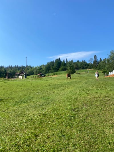 In Izky, Ukraine, a wide, sun-drenched grassy field slopes gently upwards towards a dense line of trees that marks the edge of a forest. The sky above is a clear, vibrant blue with a few wispy clouds. In the mid-ground, a brown horse grazes peacefully. Further to the right, a young woman in a light-colored dress walks away from the camera. In the background, several small wooden buildings with dark roofs are nestled among the trees. A tall pole with a light fixture stands prominently in the left mid-ground. Several other figures can be seen in the distance, scattered across the field. The overall scene depicts a tranquil rural landscape on a bright, clear day.