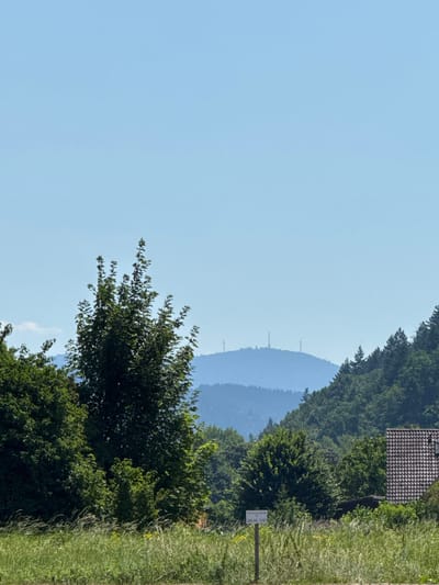A landscape view shows a hazy mountain range under a clear blue sky. In the foreground, lush green trees and vegetation border a field. A signpost stands amidst the greenery. Part of a building's tiled roof is visible near a dense forest line, creating a layered scenic composition. The image is rotated 90 degrees clockwise.
