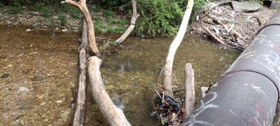 The image shows a stream or creek bed in a natural setting, likely located in or near Tahlequah, Oklahoma. The water is shallow and clear, revealing a rocky bottom. Several fallen tree limbs and branches are scattered across the streambed, creating natural obstacles. A large metal pipe, covered in graffiti, runs along the edge of the stream. Debris, including plastic bottles and other litter, is concentrated on one side of the creek near the pipe, indicating a pollution issue. The banks of the creek are lined with vegetation, including trees and bushes. The overall scene suggests a natural environment impacted by human activity.