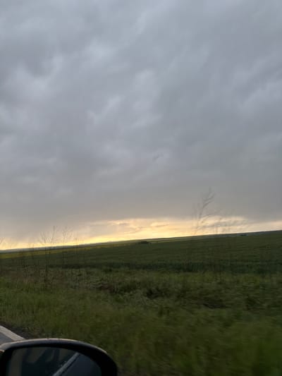The image shows a view from a moving vehicle. On the right is a field of green vegetation. The left side of the image shows a cloudy sky with a band of light on the horizon. The side mirror of the car is partially visible in the lower right corner. The location is Trastikovo, Bulgaria.