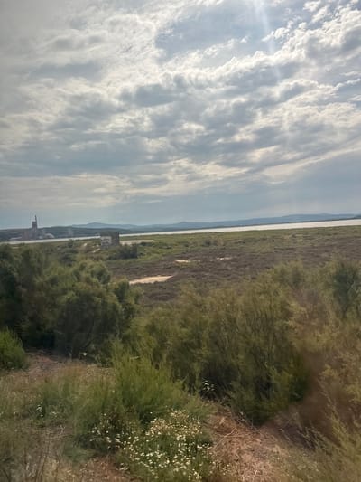 The image shows a wide, sweeping landscape scene from a high vantage point, with the camera rotated 90 degrees clockwise. The left side of the frame is dominated by a vast expanse of clouds, with streaks of sunlight breaking through, suggesting it is daytime with partly cloudy conditions. The clouds have a textured, almost painterly appearance.
The center of the image reveals a long, thin body of water, possibly a lagoon or canal, stretching towards the horizon. Beyond the water, distant hills or mountains are faintly visible, shrouded in a light haze. The water's surface is calm and reflective, mirroring the sky.
To the right of the water, a wide, dry, and vegetated area is depicted. This terrain is covered in low, scrubby bushes and dry grasses, with patches of sand visible. Further into the foreground on the right, denser green foliage and trees are present, some with small white flowers blooming. This area appears to be a natural landscape, likely a coastal or wetland environment.
In the middle ground, near the edge of the water and the vegetated area, there is a rectangular structure that appears to be a building or a sign. It has some graffiti on it. Closer to the bottom of the frame on the left, there is a glimpse of a large, old brick building with a dome, possibly an industrial ruin or an old refinery.
The overall impression is of a natural landscape with elements of human activity. The lighting suggests it is likely late morning or early afternoon. The location is identified as Port-la-Nouvelle, France, which aligns with the visual cues of a coastal area with water and varied vegetation. There are no discernible people or specific events taking place; it is a static landscape view.
