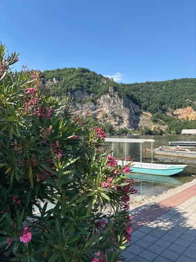 This is a landscape photograph taken at the lake in Divic, Bosnia and Herzegovina, on a clear, sunny day. In the foreground, a bush with vibrant pink oleander flowers and lush green leaves partially obstructs the view. Beyond the foliage, a calm, reflective lake stretches towards a backdrop of a steep, rocky cliff face covered in dense green trees. Several boats are moored along the water's edge, including a small, light blue boat with a white canopy in the mid-ground. A paved walkway with a red and grey tiled pattern runs along the edge of the lake, casting dappled shadows from the sunlight. The sky above is a clear, bright blue.