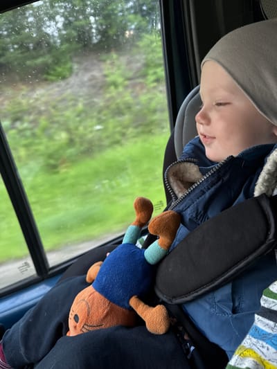 A young child, wearing a gray beanie and a navy blue jacket, sits in a car seat, looking out the window. The child holds a plush toy with orange and blue accents. The car window shows a blurred background of greenery and trees, suggesting a rural or natural setting. The image is taken from inside the vehicle, with the focus on the child and the toy. The scene is likely in Pesterevo, Russia, given the provided context.