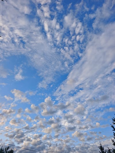 A vertical, outdoor, eye-level shot captures a dynamic sky filled with various cloud formations over the city of Luzhniki SNT, Russia. The sky is a vibrant blue, interrupted by scattered white and gray clouds of different sizes and densities. Wispy, cirrus-like clouds stretch across the upper portion of the frame, while more textured, cumulus clouds are visible in the middle and lower sections. A few thin, dark power lines stretch horizontally across the lower part of the image, partially obscuring the view of the clouds beneath them. Dark green coniferous trees are visible at the bottom left and right edges of the frame, with the upper branches of the trees reaching into the lower sky. The lighting suggests it might be late afternoon or early evening, with some clouds illuminated from the side, creating shadows and depth. There are no people or animals visible in the image.