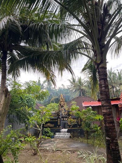 Palm trees frame a scene of a traditional Balinese house, recognizable by the tiled roof peeking through the foliage. Intricate black and gold shrines stand prominently in the garden, surrounded by lush greenery. Faint smoke drifts through the air, likely from incense used in daily offerings. The composition offers a glimpse into the peaceful blend of nature and culture found in Bali.