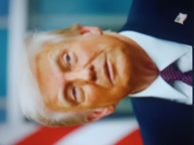The image shows a close-up of Donald Trump, likely a screen capture from a video. He is wearing a dark suit, white shirt, and patterned tie. A small American flag pin is visible on his lapel. The background appears blurred, showing a mix of light blues and reds, potentially suggestive of a flag or curtain. His face is angled, and the overall image is somewhat blurry.