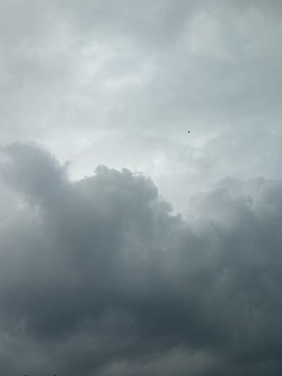 A dramatic and moody sky is captured in this image, featuring a vast expanse of dark, heavy clouds. These clouds are dense and textured, with lighter, more wispy formations scattered above them. In the upper portion of the frame, a single, small bird is silhouetted against the muted sky, appearing to be in flight. The overall color palette is dominated by shades of gray and muted blues, creating a somber and atmospheric feel. The bottom of the image shows a sliver of what appears to be the tops of trees or buildings, hinting at a terrestrial landscape below the imposing cloud formations. The image does not provide specific details about the city of Gdov, Russia, beyond its potential inclusion as the setting.