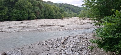 A wide, shallow river flows through a rocky, sparsely vegetated riverbed. The water is a murky grey-blue and appears to be moving slowly. The riverbed is composed of smooth, rounded grey and white pebbles of varying sizes, with some larger rocks and driftwood scattered throughout. On either side of the river, dense green trees cover the slopes of rolling hills. The sky above is overcast and pale grey. The scene depicts a natural landscape that appears to be located in the city of Serzhen-Yurt, Russia.