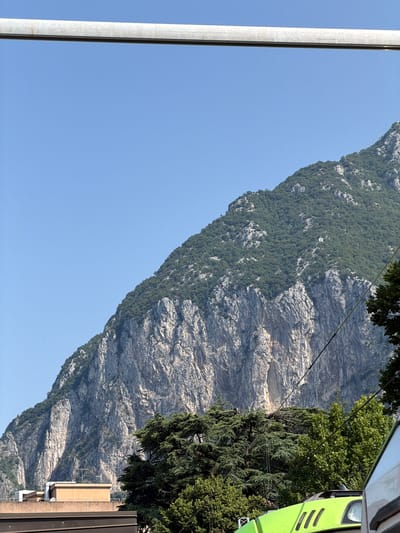 The image depicts a mountainous landscape in the city of Lecco, Italy. A towering, rugged mountain covered in dense green vegetation dominates the background. The mountain's face is characterized by sheer rock cliffs and textured surfaces. In the foreground, the upper section of a light-colored metal bar is visible, spanning horizontally across the top of the frame. Below the mountain, a cluster of lush green trees, including coniferous and deciduous varieties, partially obscures the lower slopes. A building with a tan-colored facade and a darker roof is visible to the left, nestled at the base of the mountain. Another darker building structure is present in front of it. A portion of a bright green vehicle, possibly a tractor or construction equipment, is visible at the bottom right of the image. Several dark wires or cables run diagonally across the scene, intersecting with the trees and the mountain. The sky is a clear, bright blue, suggesting a sunny day.
