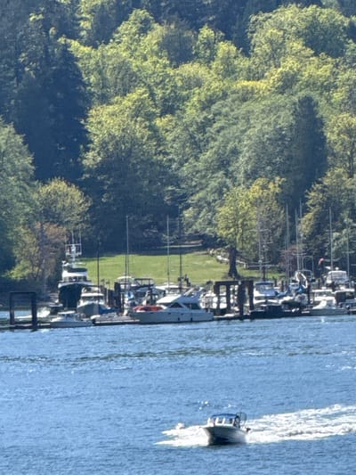 The image depicts a marina and waterfront scene in Bowen Island Municipality, Canada. The marina is visible along the shoreline, with several boats docked at slips. The docks are made of dark material. Adjacent to the marina is a green grassy area, possibly a park or lawn, bordered by a dense cluster of trees with lush green foliage. A motorboat is moving across the water with a wake behind it. The water is blue.