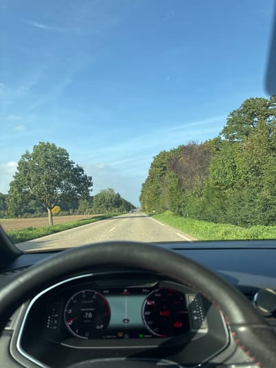 The image presents a forward-facing view from inside a vehicle, depicting a rural road scene on a clear day in the vicinity of Dambach-la-Ville, France. In the immediate foreground, the upper portion of a black steering wheel with red contrast stitching is visible, partially obstructing the vehicle's digital instrument cluster. The left side of the cluster displays a numerical reading of "7.6" (likely fuel consumption), while the central section features a navigation graphic depicting a road. The right side of the cluster shows a speedometer with "160" km/h prominently displayed in red, and "100" km/h also in red directly below it. Several indicator lights are active at the bottom of the digital display.
The road ahead is a two-lane asphalt surface, defined by solid white lines at its edges and a dashed white line delineating the lanes, extending straight into the distance. To the left of the road, a narrow grassy verge transitions into a tilled brown field. A large, mature deciduous tree with green foliage stands close to the left side of the road, and further into the field, another smaller tree exhibits distinct yellow autumnal foliage. To the right of the road, a dense natural barrier of trees and shrubs, displaying a mix of green, dark green, and some red-brown leaves, forms a roadside forest edge. A small white signpost is visible on the right verge. In the far distance on the road, several vehicles appear as small, indistinct objects, proceeding in the same direction. The sky above is clear and blue, with minimal, wispy white clouds.