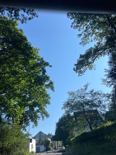 The image captures a clear, blue sky with the tops of several large, leafy trees framing the upper portion of the scene. Below the trees, houses and buildings are visible, suggesting a residential or village setting. A road curves through the lower part of the image, with a white car visible driving away from the viewer. The architecture of the buildings appears to be European, with gabled roofs and a mix of white and darker facades. The overall impression is a sunny day in a semi-rural or suburban area. Given the context, this scene could be in Nümbrecht, Germany, a town known for its greenery and residential areas.