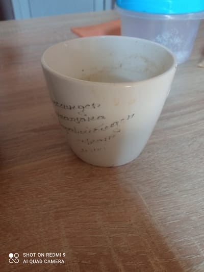 A laboratory crucible, with handwritten markings, sits on a wooden surface. The markings appear to be in Cyrillic script. In the background, a clear plastic container with a blue lid holds white powder. The scene is indoors, with a light blue wall visible in the upper left corner. The overall impression is that of a chemistry laboratory or a room where scientific experiments are conducted. The image was taken in Навадворскі сельскі Савет, Belarus.