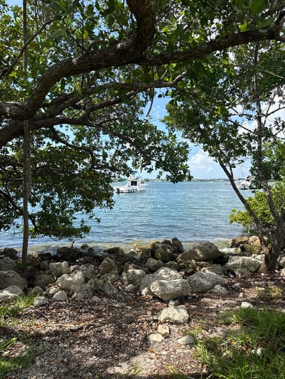 In North Miami, Florida, a serene waterfront scene unfolds. Framed by the leafy branches of trees in the foreground, the calm, blue water of a bay stretches towards the horizon. Two white boats are visible on the water: a larger, more substantial vessel anchored closer to shore, and a smaller boat further out. The shoreline is a rugged mix of large, weathered rocks and smaller pebbles, with patches of green grass growing in between. The sky above is a clear blue, dotted with a few white clouds. The overall impression is one of peaceful natural beauty.