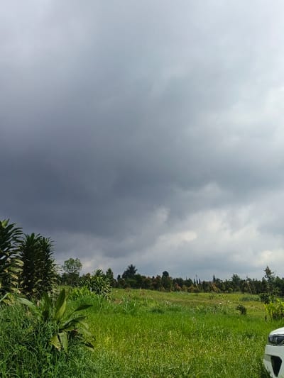 The scene is located in Mong Pun Teing, Myanmar. The image depicts an outdoor landscape under a heavily overcast, dark grey sky that dominates the upper two-thirds of the frame, with lighter grey clouds visible towards the upper right. The immediate foreground on the left features dense green vegetation, including tall grasses and broad-leafed plants. The front-right corner shows the white front bumper and part of a headlight of a vehicle. The midground consists of a wide expanse of vibrant green field covered in tall grass. A line of various trees and shrubs forms the background, delineating the horizon. No individuals or specific actions are discernible within the frame.