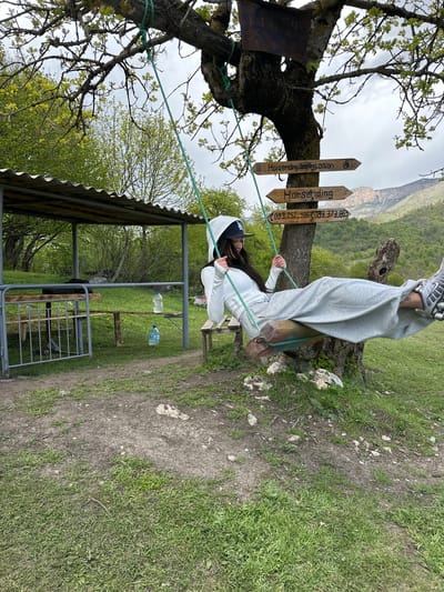A person in a white hoodie and gray sweatpants swings on a tree swing tied to a large, weathered tree with wooden directional signs, one of which reads "Horsesding, Jeeping, Dillian" and another "Horseriding." The swing seat is made of wood. The scene is set in a rural, mountainous location, likely near Teghut, Armenia. The ground is a mix of dirt and grass. Behind the swing is a partially covered metal structure with two plastic water bottles on a table. The overall environment suggests an outdoor recreational area.