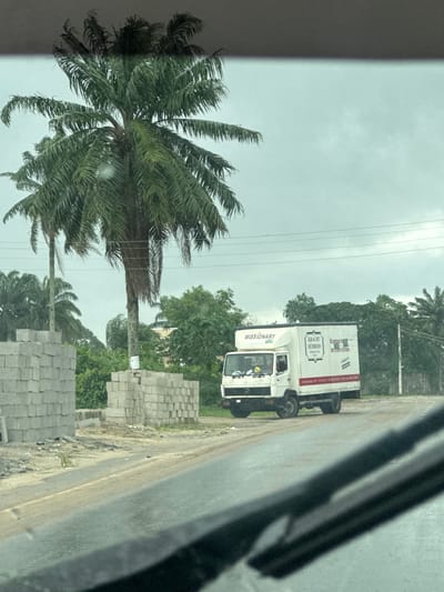 A roadside scene in Igwuruta, Nigeria, features a palm tree to the left and stacks of gray cinder blocks lining the right side of a paved road. A white delivery truck, labeled "MISSIONARY" and with German text on its cargo box ("KRACHT HUBBERS"), is parked on the road. Overcast sky conditions prevail.