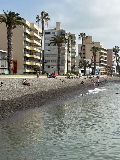 The image depicts a pebble beach scene in La Punta, Peru, with several apartment buildings and palm trees in the background. The foreground shows the water with gentle ripples, and the beach is populated with numerous individuals. Some people are seated on the pebbles, while others are walking or interacting in small groups. Several beach umbrellas are visible, providing shade to some of the beachgoers. A few people are in the water, either swimming or wading. The buildings in the background are modern apartment complexes, and the palm trees are characteristic of a coastal environment. The sky is partly cloudy, suggesting a pleasant day.