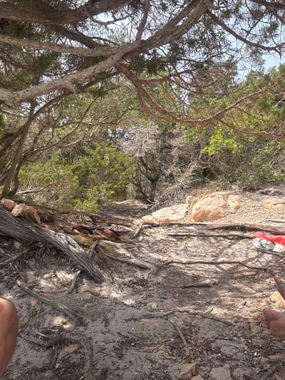 The image depicts a sun-dappled, sandy ground beneath a canopy of dry, twisted tree branches, characteristic of a coastal or arid environment. The ground is covered with a mix of sand, small stones, dry leaves, and fallen twigs. In the foreground, a pair of brown flip-flops rests on the sand, with a red object, possibly a towel or garment, beside them further to the right. A person's bare foot, covered in sand, is visible on the right edge of the frame. The background shows dense green shrubbery and more dry, bare branches, suggesting a natural, untamed setting. The overall impression is one of a secluded outdoor location, possibly a beach or a path leading to one. There is no indication of the city of Lu Palau/Palau, Italy in the image.
