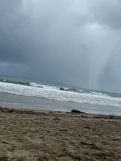 The image depicts a beach scene in Cabarete, Dominican Republic. The sky is overcast with dark, grey clouds. The ocean waves are crashing onto the shore, creating white foam. The sand is dark and coarse. There is some driftwood and debris scattered along the shoreline. There is one dark blob on the shoreline in the sand.
