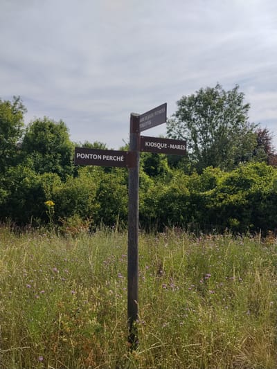 A brown wooden signpost stands in a field of tall grass and wildflowers, with purple flowers dotting the landscape. The signpost has three directional signs. The top sign, pointing left, reads "AIRE DE JEUX/FITNESS TOILETTES". The middle sign, pointing left, reads "PONTON PERCHÉ". The bottom sign, pointing right, reads "KIOSQUE-MARES". Behind the signpost and field is a dense line of green trees and foliage. The sky above is light blue with scattered white clouds. This is located in the Parc Départemental des Coquerets in Rosny-sous-Bois, France.