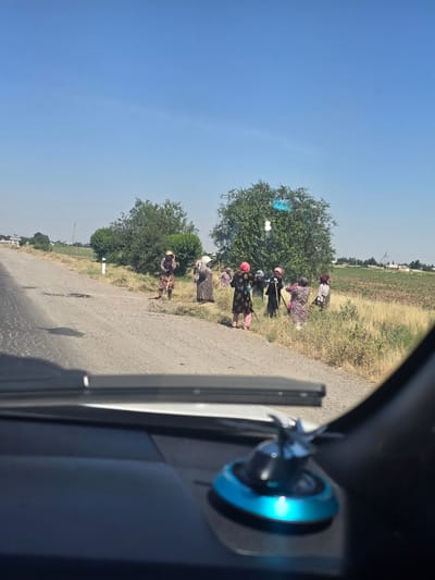 The image depicts a group of individuals, predominantly women dressed in traditional clothing, engaged in agricultural work, likely harvesting or gathering crops in a field. They are spread across a grassy and dry-earth area adjacent to a dirt road. The women are using tools that appear to be scythes or sickles, and some are carrying bundles. The environment is rural, with sparse vegetation, a large tree in the background, and a clear blue sky overhead. The foreground shows the interior of a vehicle, with a dashboard and a decorative object visible. The overall impression is of a sun-drenched, working landscape. The image is dated as being taken in Guzar, Uzbekistan.