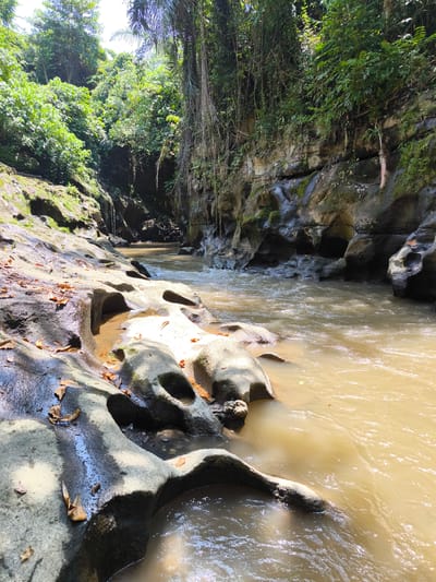 The image depicts a river gorge in Batuan, Indonesia. The river flows through a narrow channel carved into layered rock formations. The water is a murky brown color. The rocky banks are interspersed with green foliage, including trees and vines. Some of the rocks appear to be pitted with small holes. Sunlight illuminates parts of the rocks in the foreground.