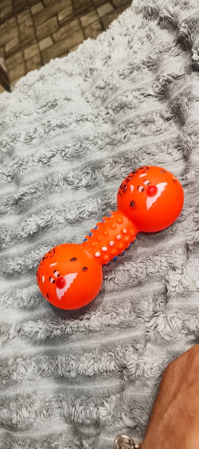 An orange dog toy, shaped like a dumbbell with round ends, lies on a textured gray blanket. The toy features painted cartoonish faces on each end with red noses, black eyes, and white accents. The center of the toy has a textured, ridged section with small blue and white dots. The background is blurred, showing a brick pattern. There is a portion of a human arm visible in the lower right corner. The location is Liubashivka, Ukraine.