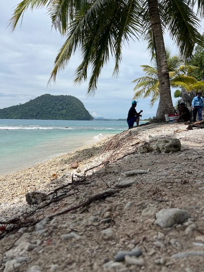 The image depicts a tropical beach scene in Pasi, Indonesia. A dense, tree-covered island with a rounded peak rises from the turquoise ocean in the background. The foreground is a coarse beach made of small, light-colored pebbles and pieces of coral, interspersed with dried branches and twigs. A cluster of palm trees dominates the right side of the frame, providing shade.

Beneath the palm trees, three individuals are present. One person, wearing a blue cap and dark clothing, is kneeling on the beach, facing away from the camera and appearing to be holding something in their hand. To their right, two other individuals are seated on the ground, partially obscured by the palm tree's trunk. Further to the right, a fourth person, wearing a blue jacket with a white pattern, stands upright, looking towards the seated individuals. A white cooler bag is visible near the seated people. The water gently laps the shore, with small waves breaking on the beach. The sky is overcast with scattered clouds.