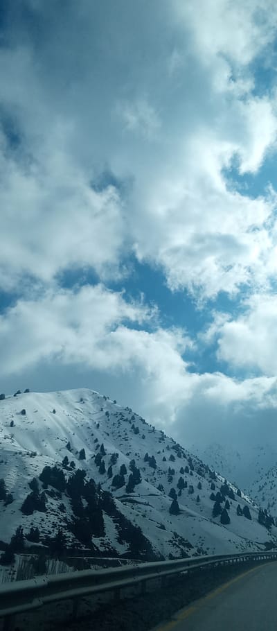 A scenic view captures a snow-covered mountain dotted with evergreen trees against a backdrop of a cloudy blue sky. The mountain's slopes are blanketed in white, contrasting with the dark green of the scattered trees. A roadside barrier and a glimpse of asphalt suggest a roadway runs along the base of the mountain. The sky is filled with billowy clouds, with patches of blue visible in between.
