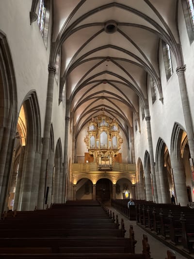 The image shows the interior of a large, gothic-style church, likely Saint-Laurent's church in Ribeauvillé, France. The perspective is from the back of the nave, looking towards the altar. Rows of dark wooden pews fill the foreground and extend down the sides of the central aisle. The church features high, vaulted ceilings supported by massive stone pillars. At the far end of the church, a grand, ornate pipe organ is mounted above the altar area, bathed in warm light. Stained-glass windows are visible along the upper walls, casting colored light into the space. The stone architecture is imposing and grand. In the mid-ground, on the right side, a person wearing a blue shirt stands near a pulpit, facing away from the camera and towards the pews. The lighting is dim, with spotlights illuminating the altar and organ area, creating a sense of solemnity and grandeur.