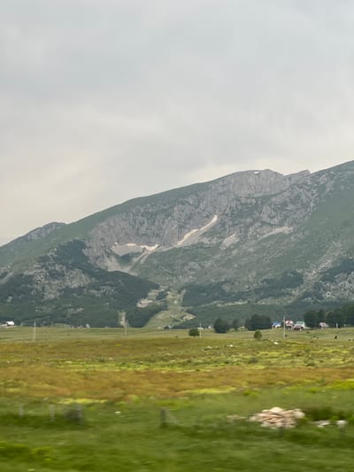 This image depicts a sweeping, vertical landscape with a prominent mountain on the left and a grassy meadow on the right. The mountain is rugged and rocky, with patches of snow visible on its slopes. The meadow is vibrant green, with a scattering of yellow wildflowers and some scattered rocks. In the distance, along the edge of the meadow and at the base of the mountain, a small collection of houses and other structures can be seen, suggesting a rural or semi-rural settlement. Several utility poles are also visible across the meadow, indicating the presence of infrastructure. The sky is overcast, creating a diffused, bright light that suggests it is daytime, likely late morning or afternoon. The overall scene is serene and natural, conveying a sense of open space and a connection to the outdoors. The location appears to be a mountainous region, possibly in a temperate climate, given the green vegetation. No people are visible in the frame. There is no visible text in the image.