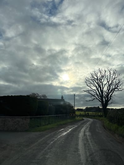 The image depicts a rural scene near Ruyton-XI-Towns, United Kingdom. A narrow, wet asphalt road curves to the right, marked by a yellow directional sign. A bare tree with intricate branches stands silhouetted against a cloudy sky, with the sun obscured by the clouds. A telephone pole is visible near the tree. A stone wall and hedges line the edge of the road. In the distance, a building, possibly a church, is partially obscured by trees. The sky is filled with gray and white clouds, creating a diffused light across the scene.