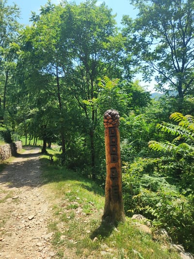 The image depicts a rustic wooden post with carved letters, standing in a sun-dappled forest clearing. The post is topped with a carved, pinecone-like shape and features vertically oriented, carved letters that appear to spell "BOGON", though the lighting and resolution make definitive identification challenging. The post is positioned to the right of a gravel path that curves into a densely wooded area. To the left of the path, a low, stone wall is visible. The surrounding environment is lush and green, with tall trees and undergrowth. The scene appears to be a natural, outdoor setting, possibly a hiking trail or a park. There is no indication of the city of Milanetto, Italy within the image itself. The lighting suggests it is daytime, with sunlight filtering through the leaves.