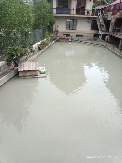 A wide, high-angle shot captures an outdoor swimming pool in Rakhata, Russia. The pool is filled with a murky, light gray water. In the lower left quadrant of the pool, a wooden duck house floats on a wooden platform. A white swan is visible on the platform, positioned near the duck house. A green feeder is also on the platform. The pool is surrounded by a concrete border. To the left of the pool, lush green trees and rose bushes are present, with a black chain-link fence behind them. In the background, a multi-story building with beige brick walls and dark-framed windows is visible. The building has balconies with black metal railings and an exterior staircase leading up. The sky is overcast. The timestamp 04.07.2026 11:00 is visible in the bottom right corner.