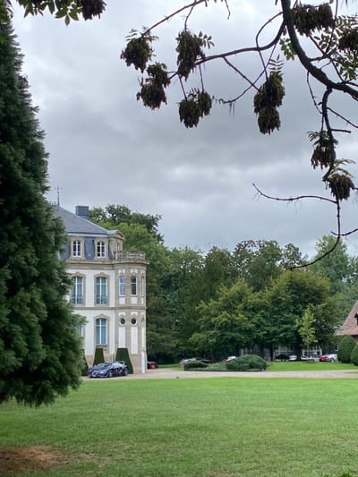 The image depicts an expansive estate in Dorlisheim, France, under an overcast sky. In the foreground, a large, well-maintained green lawn occupies the lower half of the frame. To the left, a tall, dense coniferous tree stands vertically. Overhead, dark tree branches with clusters of light brown, winged seeds are visible against the grey sky.

To the left-center, a multi-story building, likely a chateau, features a light-colored facade with numerous rectangular windows with white frames and a dark grey gabled roof with dormers. The building incorporates a rounded, turret-like section on its right side, featuring more windows and a small balcony. Two dark green, conical topiary shrubs flank an entrance point at the base of this building.

On a gravel drive in front of the chateau, a dark blue or purple Bugatti Veyron-style supercar is parked, facing left. Further along the drive to the right, partially obscured by trees, are several other high-performance vehicles, including an orange sports car, a black vehicle, a white vehicle, and a red vehicle.

A dense line of various trees forms a background behind the gravel drive and parked cars, indicating a forested area or extensive grounds. No individuals are visible within the frame.