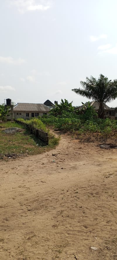 The image displays an outdoor scene in the city of Ijotan, Nigeria, under a bright, cloudy sky. The foreground consists of an unpaved, light brown sandy area showing distinct tire tracks and scattered minor debris, interspersed with sparse patches of green vegetation. A low, grey concrete block wall runs diagonally from the left, demarcating the sandy area from a strip of taller green grass and a small pile of gravel to its immediate left.
The midground is characterized by dense green vegetation, including several large-leafed plants consistent with banana trees, and numerous smaller, leafy plants. A narrow dirt path continues from the sandy foreground through this vegetation. A tall palm tree with dark green fronds stands prominently on the right side, partially obscuring a building.
In the background, several structures are visible. On the left, a single-story building with a light-colored, possibly tiled or corrugated roof and multiple windows is present. To its left, a black water storage tank is elevated on a stand. Further right, a building with a distinctive dark, possibly conical or pyramid-shaped roof is partially visible behind the vegetation. Another building with a lighter roof is partially obscured by the large palm tree on the right. No individuals are present in the scene.