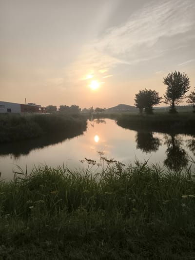 This image depicts a serene canal in Wervershoof, Netherlands, during a hazy sunrise. The sun, a bright orb, is positioned in the upper center of the frame, casting a warm, golden glow across the sky and reflecting on the calm water. Wispy clouds streak across the sky, adding texture to the soft light.
On the left bank of the canal, industrial buildings are visible, one with signage that appears to read "BREDIJK KRIJGSEN CHRYSANTEN". Beyond these buildings, dense reeds and tall grass line the water's edge. The reflection of the industrial structures and the surrounding greenery is mirrored in the still water of the canal.
On the right bank, several trees stand silhouetted against the bright sky, their reflections also captured in the water. Further down the canal, another industrial building with a greenhouse attached is discernible. The foreground is dominated by lush, green grass and wild foliage, with some small white wildflowers scattered throughout. The overall impression is one of a tranquil rural landscape at the start of a new day.