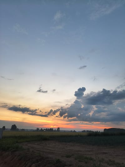 The image depicts a rural landscape at dusk, likely in or near the village of Galonki, Poland. The sky is a gradient of soft blues and grays, transitioning to warm oranges and yellows near the horizon, indicating the setting sun. A few scattered clouds are visible in the upper portion of the frame, while larger, more dramatic cloud formations are present lower down, some appearing dark and heavy.

The foreground is dominated by rough, dark soil, suggesting a recently plowed field or construction site. A low embankment of this soil is visible on the left. Beyond this, a field of green crops extends towards a distant treeline. Silhouetted against the bright sky are several trees and what appear to be buildings, possibly farmhouses or sheds. The overall impression is one of quiet twilight in a natural, agrarian setting. There are no people or animals visible in the image.