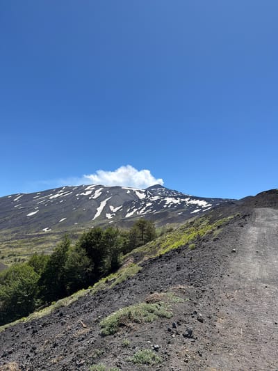 A clear, bright blue sky dominates the upper portion of the image. A snow-capped volcano, Mount Etna, is visible in the background, with a plume of white smoke or steam emanating from its peak. The slopes of the volcano are dark and rocky, interspersed with patches of snow and green vegetation. In the foreground, a dirt road curves upwards along the side of a rocky incline. Scattered green bushes and some trees are present on the lower slopes. The image appears to be taken from an elevated position, looking towards the volcano. The scene depicts a natural, mountainous landscape, likely within the vicinity of Linguaglossa, Italy, given the mention of Mount Etna.