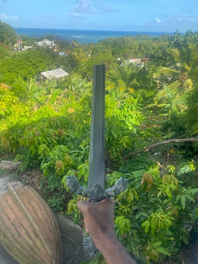 A dark-skinned right hand, positioned centrally, holds a sword vertically by its hilt, with the broad, dark-colored blade extending upwards. The sword's hilt is ornate, featuring stylized animal heads on the crossguard and decorative motifs. In the lower-left foreground, a weathered, planked wooden boat hull lies on its side. The scene is an outdoor, elevated perspective overlooking a lush, densely vegetated tropical landscape in Goyave, France. The midground and background are dominated by various green trees and broad-leafed plants, interspersed with several light-roofed buildings. The blue ocean is visible on the distant horizon under a partly cloudy sky.