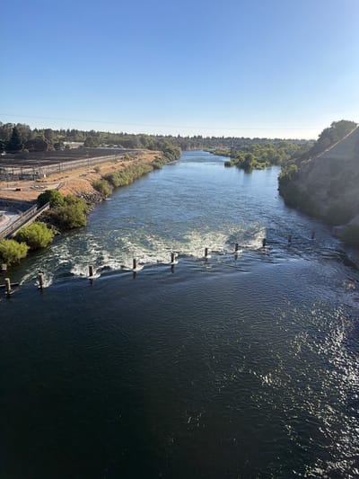The image shows a wide river in Gold River, California, under a clear blue sky. The river flows from the distance towards the foreground. On the left bank, there is a fenced industrial area with some buildings and trees. The right bank is a steep, rocky incline covered with vegetation. In the middle of the river, there is a section of turbulent water with several wooden posts protruding from the surface. The water in the foreground is dark and reflective, with sunlight glinting off its surface. The overall scene depicts a natural landscape integrated with man-made structures.