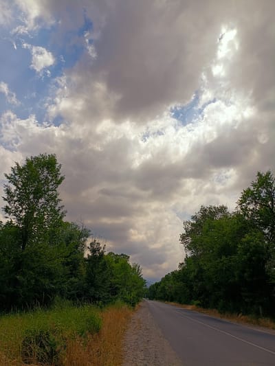 The image depicts a rural road stretching into the distance, flanked by dense green trees on both sides. The road surface is asphalt with a white line marking the center. The roadside to the left is covered with dry, golden grass and green vegetation. The sky above is filled with dramatic, heavy gray clouds interspersed with patches of blue sky, and bright sunlight breaking through in some areas. The overall atmosphere suggests an overcast or impending weather event. The location is identified as the city of Заречное, Kyrgyzstan. No people or animals are visible in the frame.