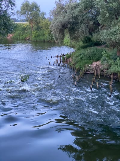 The image depicts a flowing body of water, likely a river, with lush green vegetation lining its banks. Numerous weathered wooden posts protrude from the water and the bank, suggesting a historical or man-made structure that has partially deteriorated. The water itself is turbulent in some areas, indicating a current or a shallow passage, while other parts are calmer and reflective. Tall trees with dense foliage dominate the background, creating a natural, somewhat wild environment. The overall impression is one of a serene, natural landscape, possibly on the outskirts of a settlement.