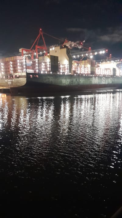 The image shows a large cargo ship docked at night in Dock Sud, Argentina. The ship is laden with shipping containers, and the port cranes are visible in the background, illuminated by lights. The water in the foreground reflects the lights from the ship and the port, creating a shimmering effect. The ship has "MSC SHREYA B" and "NADEIRA" painted on its hull. There are no people visible in the image.